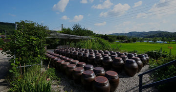 The Secrets of Gochujang and Doenjang