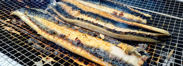 How-to-Grill-Eel-Perfectly-Every-Time Kevin's Choice