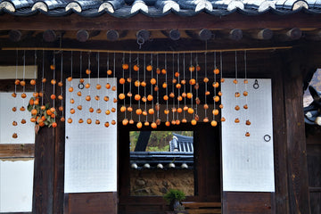 The Wisdom of Autumn: 6 Korean Proverbs that Celebrate the Season