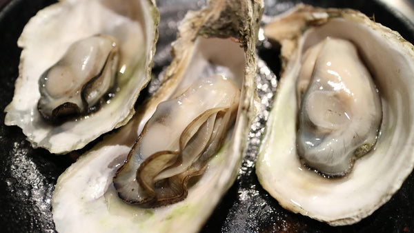 Korean oysters