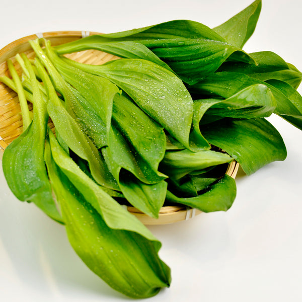 korean wild leek